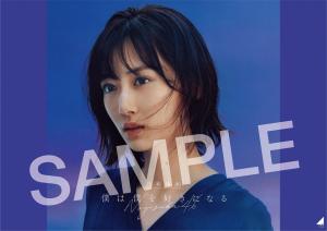 nogizaka_B3poster_sample_WGshinseido.jpg